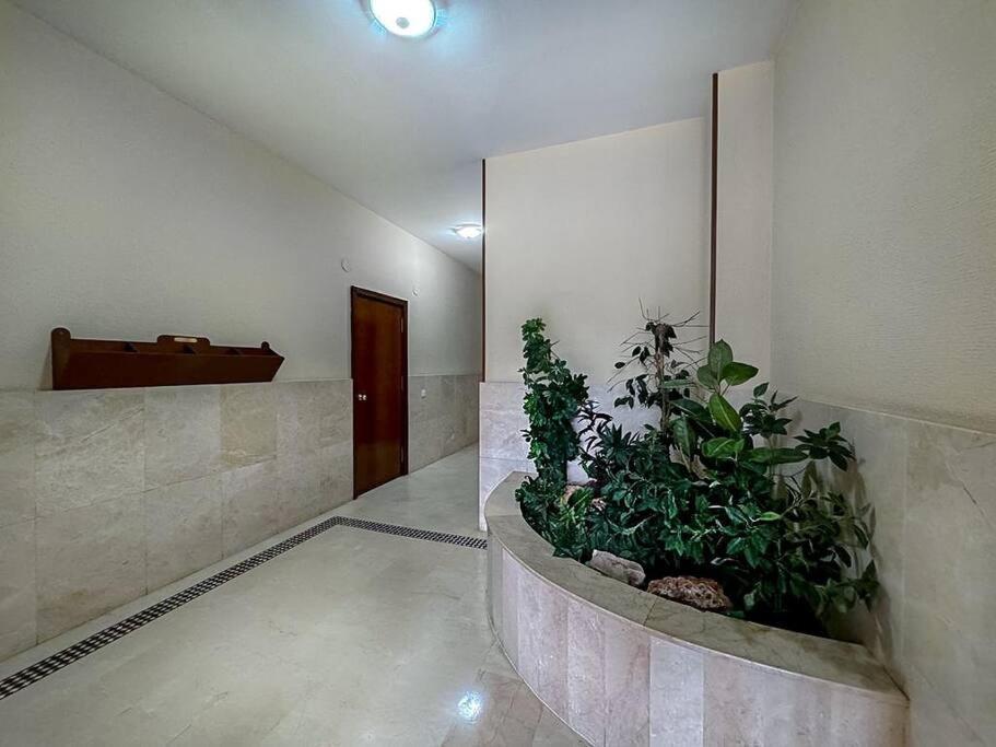 Apartamento En La Estacion De Trenes Jerez de la Frontera Extérieur photo